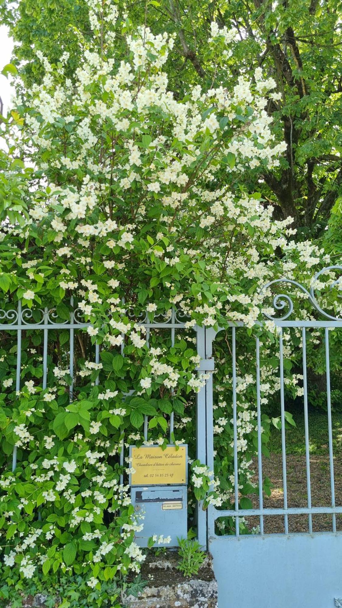 Prunay-Cassereau La Maison Celadon מראה חיצוני תמונה
