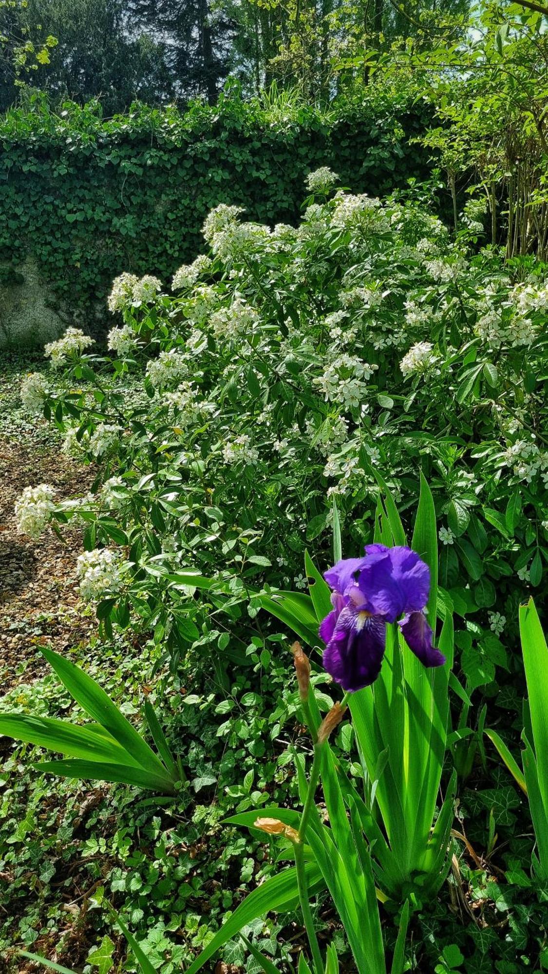 Prunay-Cassereau La Maison Celadon מראה חיצוני תמונה